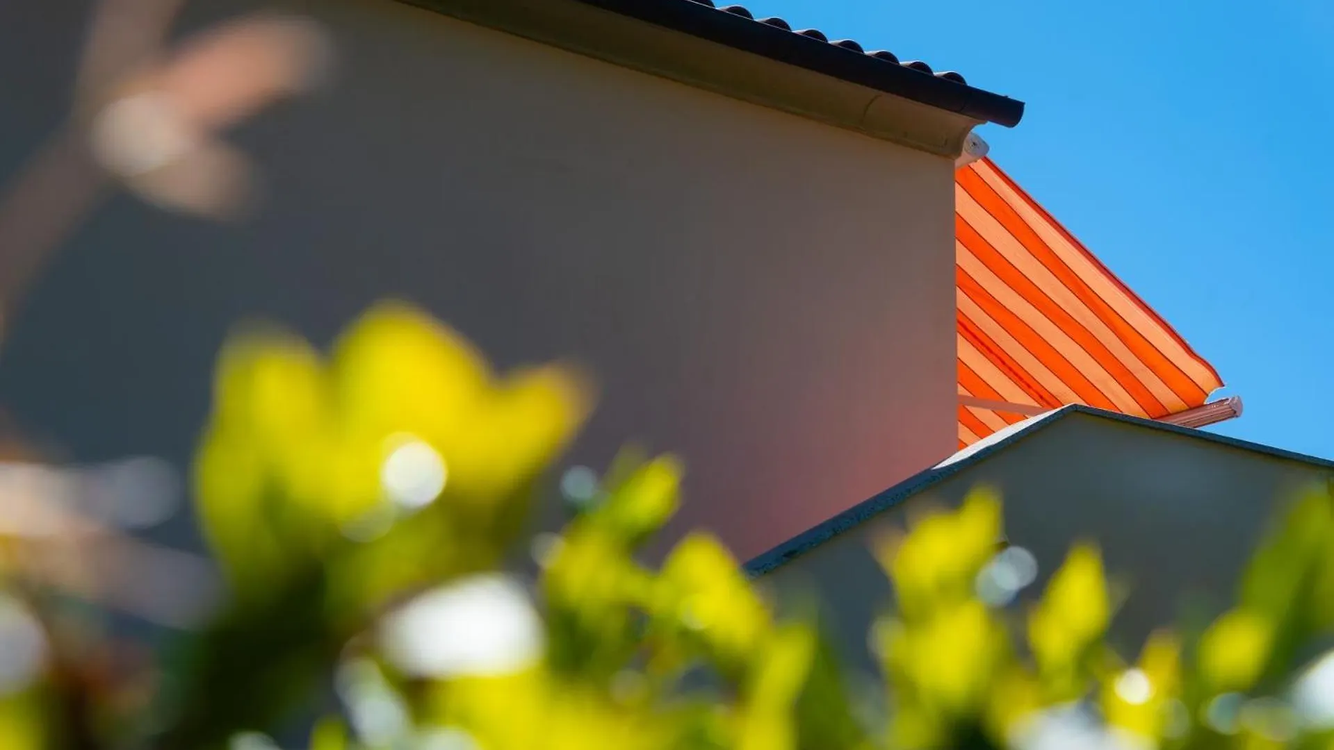 Lejlighed La Terrazza A Lacona - Ic Immobiliare Capoliveri  Italien